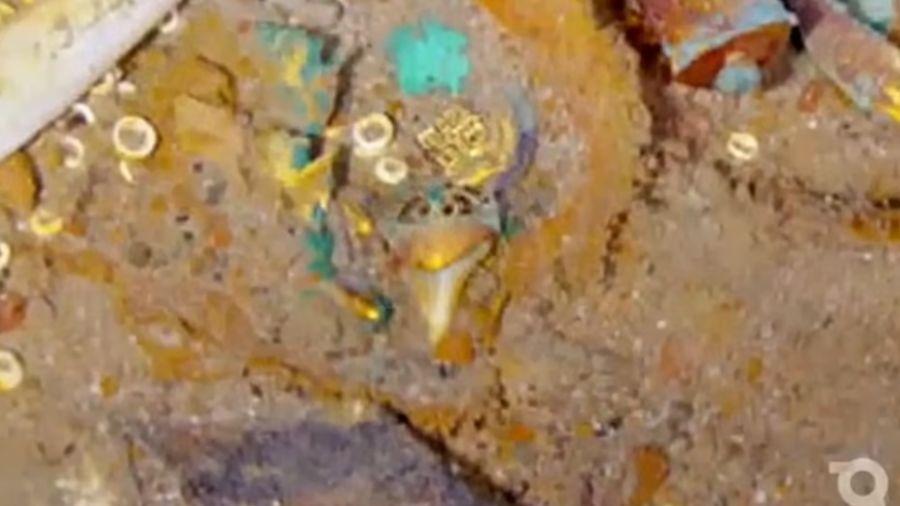 Colar de dente de tubarão extinto é descoberto em destroços do Titanic
